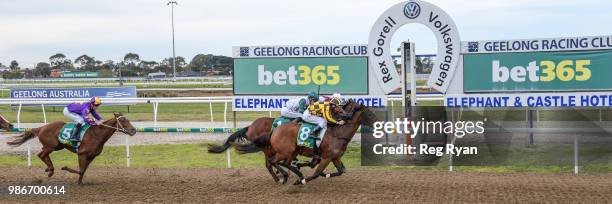 Pretty Bella ridden by Damien Oliver wins the Bet365 Three-Years-Old Maiden Plate at Geelong Synthetic Racecourse on June 29, 2018 in Geelong,...