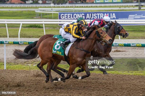 Pretty Bella ridden by Damien Oliver wins the Bet365 Three-Years-Old Maiden Plate at Geelong Synthetic Racecourse on June 29, 2018 in Geelong,...