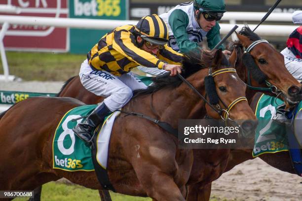 Pretty Bella ridden by Damien Oliver wins the Bet365 Three-Years-Old Maiden Plate at Geelong Synthetic Racecourse on June 29, 2018 in Geelong,...