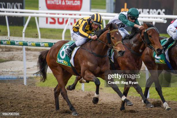 Pretty Bella ridden by Damien Oliver wins the Bet365 Three-Years-Old Maiden Plate at Geelong Synthetic Racecourse on June 29, 2018 in Geelong,...