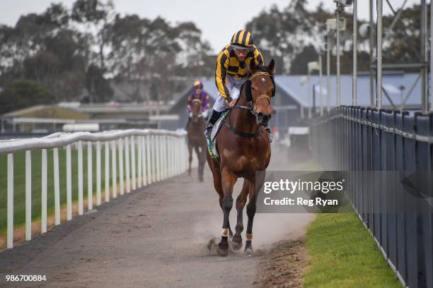 Damien Oliver returns to the mounting yard on Pretty Bella after winning the Bet365 Three-Years-Old Maiden Plate, at Geelong Synthetic Racecourse on...