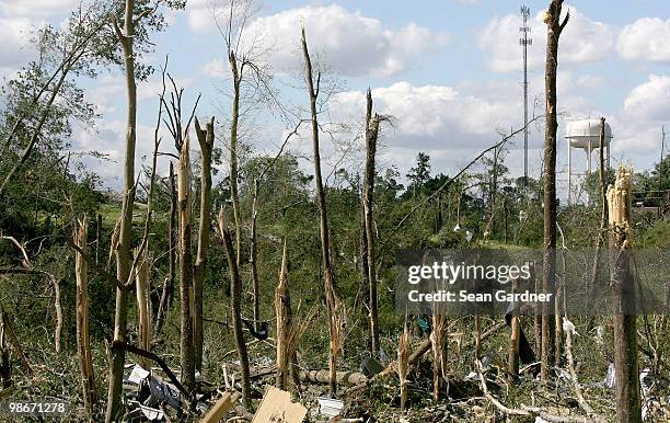 Trees were snaped in half after a a massive tornado hit the area April 25, 2010 in Yazoo City, Mississippi. On Saturday a massive tonado hit the...