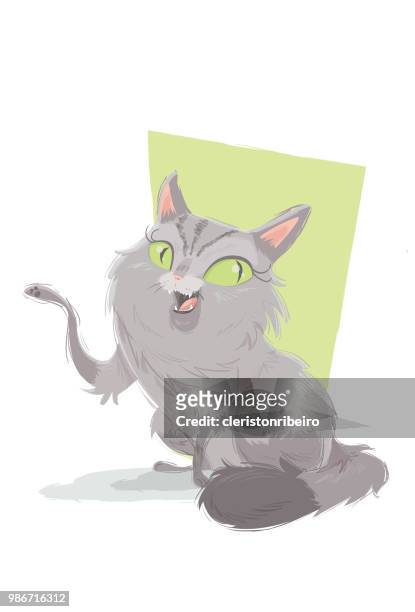 the persian cat - pure bred cat stock illustrations