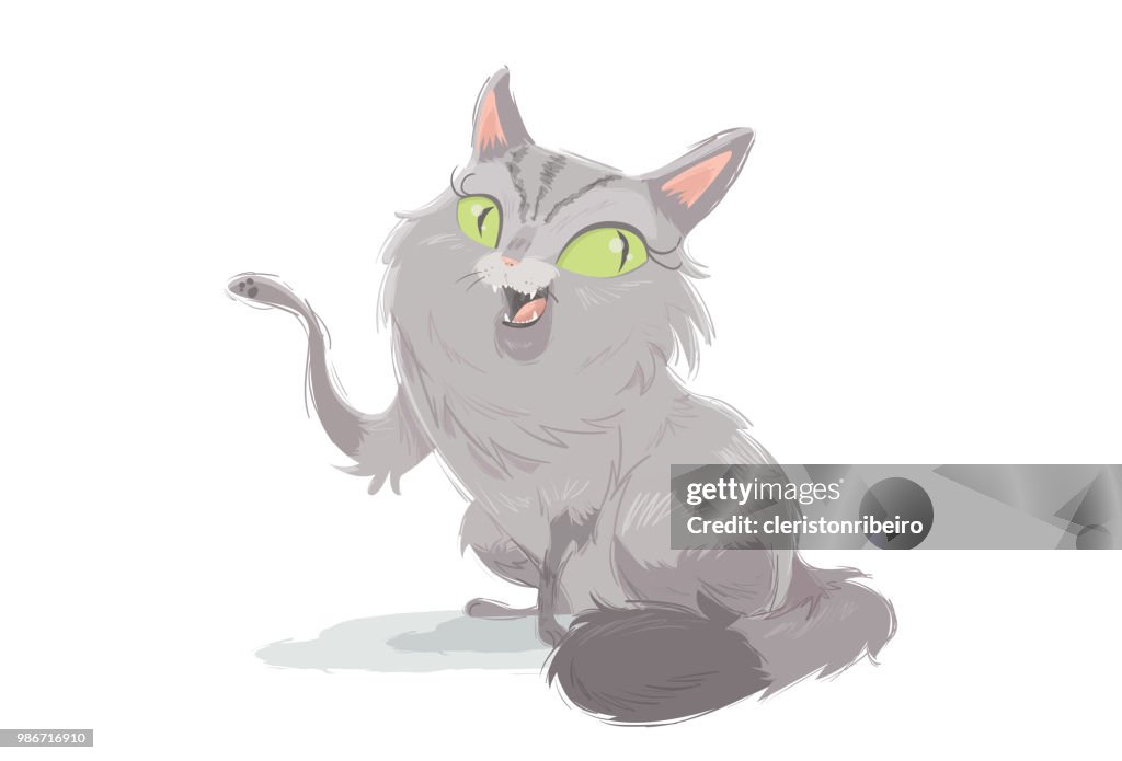 The cat