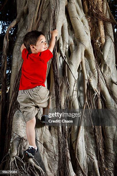boy climbing a tree - newoutdoors stock pictures, royalty-free photos & images
