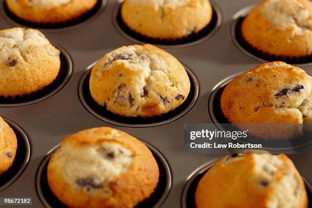 fresh blueberry muffins - muffin tin stock pictures, royalty-free photos & images