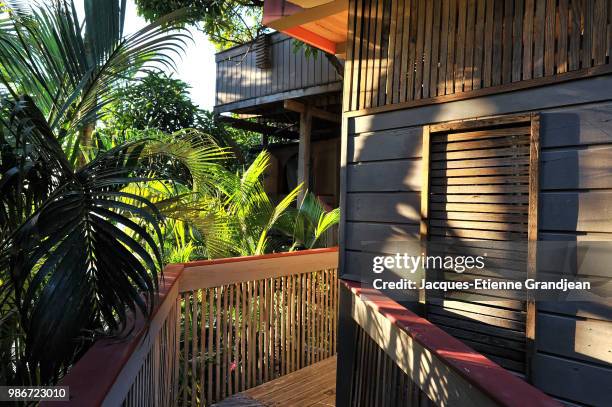 the hut in the trees - guadeloupe bildbanksfoton och bilder