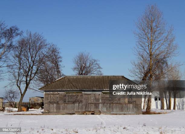 wooden shed (find cat) - nikitina - fotografias e filmes do acervo