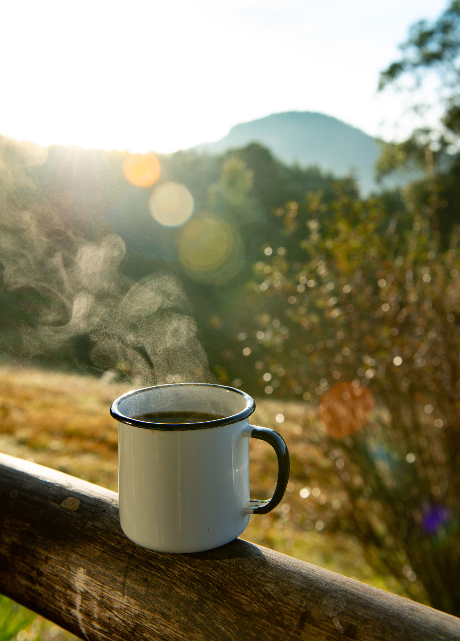 brazilian coffee