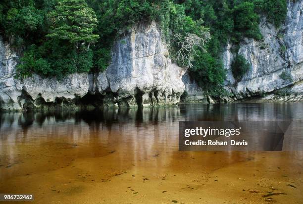 heaphy river, kahurangi national park, new zealand - kahurangi national park fotografías e imágenes de stock