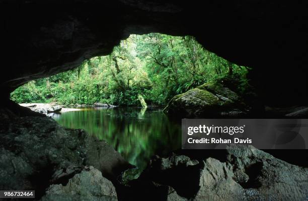 rock arch, kahurangi national park, new zealand - kahurangi national park fotografías e imágenes de stock