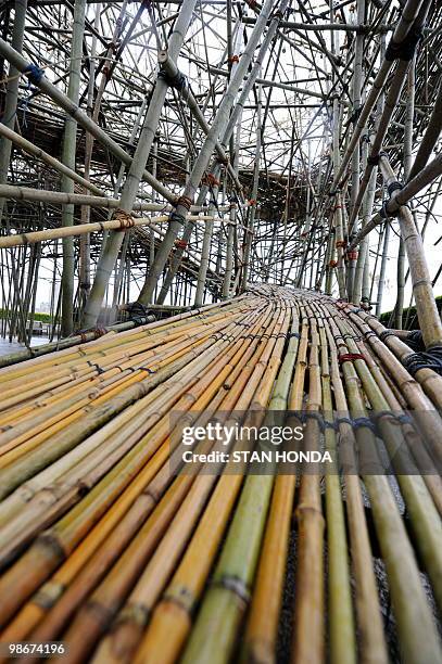 An elevated path on US artists Doug and Mike Starn's sculpture "Big Bambú: You Can't, You Don't, and You Won't Stop", April 26 a large bamboo...