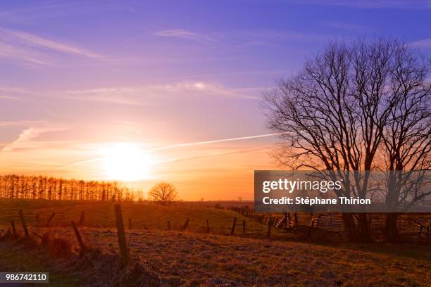 country and sunset / campagne et coucher de soleil - coucher soleil stock pictures, royalty-free photos & images