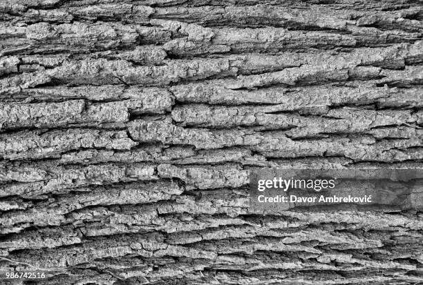 texture - adobe texture stockfoto's en -beelden