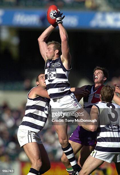 David Mensch of Geelong marks the ball in the AFL round 8 match between The Fremantle Dockers and the Geelong Cats played at Subiaco Oval in Perth,...