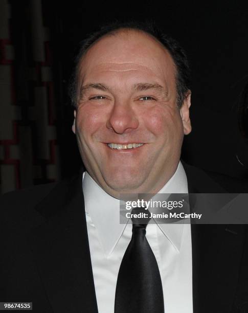 James Gandolfini attends the 2009 New York Film Critic's Circle Awards at Crimson on January 11, 2010 in New York City.