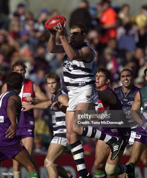 Paul Chapman of Geelong marks the ball in the AFL round 8 match between The Fremantle Dockers and the Geelong Cats played at Subiaco Oval in Perth,...