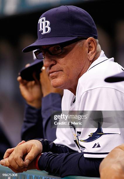 Manager Joe Maddon of the Tampa Bay Rays watches his team against the Toronto Blue Jays during the game at Tropicana Field on April 23, 2010 in St....