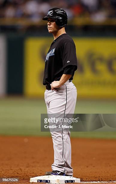 Infielder Aaron Hill of the Toronto Blue Jays stands on first base against the Tampa Bay Rays during the game at Tropicana Field on April 23, 2010 in...