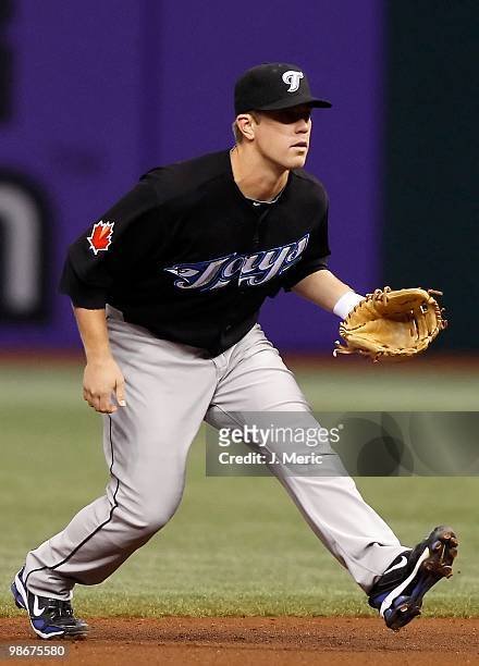 Infielder Aaron Hill of the Toronto Blue Jays gets into position against the Tampa Bay Rays during the game at Tropicana Field on April 23, 2010 in...