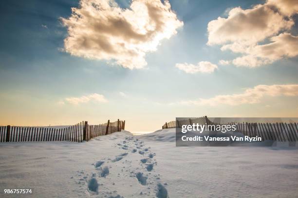 hammonasset beach - vanessa van ryzin fotografías e imágenes de stock