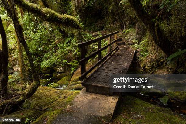 oparara bridge in oparara valley, new zealand. - kahurangi national park stock-fotos und bilder