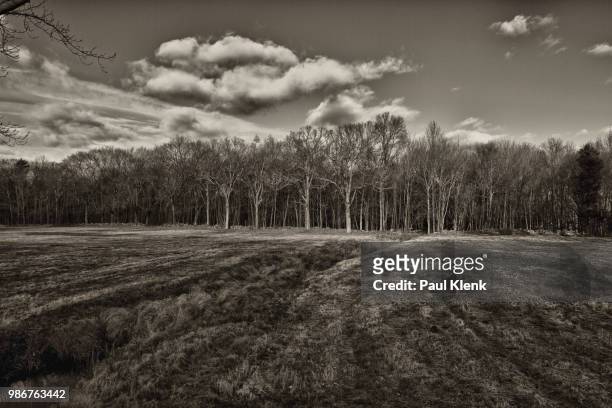 west mansfield field - paul mansfield photography stock pictures, royalty-free photos & images