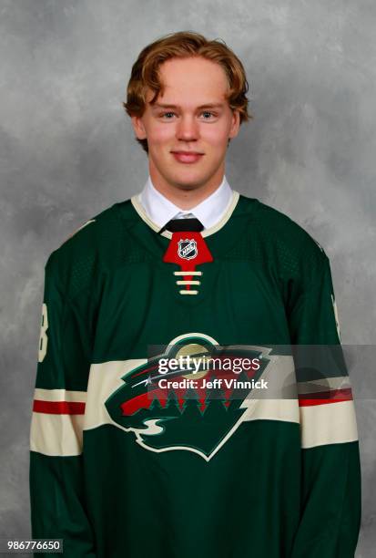 Filip Johansson poses for a portrait after being selected twenty-fourth overall by the Minnesota Wild during the first round of the 2018 NHL Draft at...
