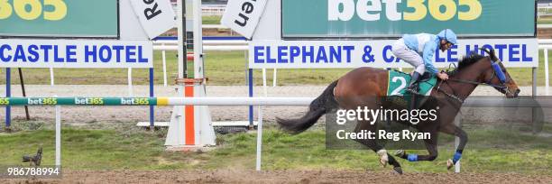 Clear Signal ridden by Damien Oliver wins the J.T Dixon BM70 Handicap at Geelong Synthetic Racecourse on June 29, 2018 in Geelong, Australia.