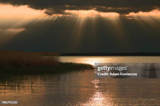 sunset over the lake - adam ray stock pictures, royalty-free photos & images