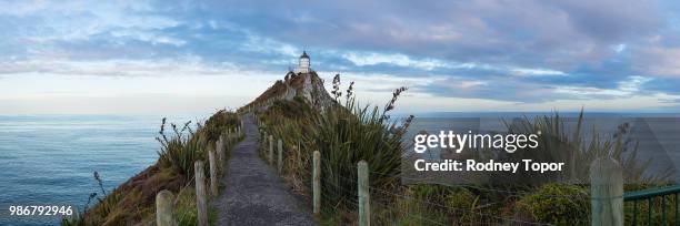 nugget point lighthouse - nugget point imagens e fotografias de stock