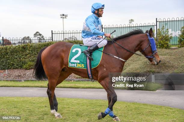Damien Oliver returns to the mounting yard on Clear Signal after winning the J.T Dixon BM70 Handicap, at Geelong Synthetic Racecourse on June 29,...