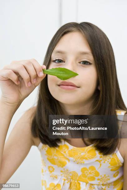 girl enjoying fragrance of fresh herb - oakleaf lettuce stock pictures, royalty-free photos & images