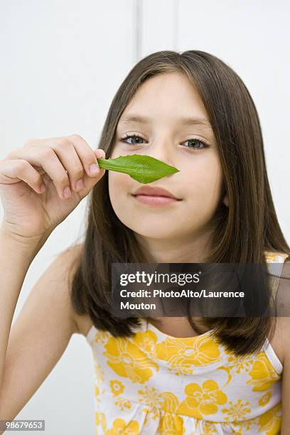 girl enjoying fragrance of fresh herb - oak leaf - fotografias e filmes do acervo