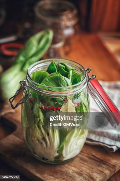 behoud van de biologische paksoi in potten - bok choy stockfoto's en -beelden