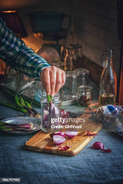 preserving organic red onions in jars - pickle relish stock pictures, royalty-free photos & images