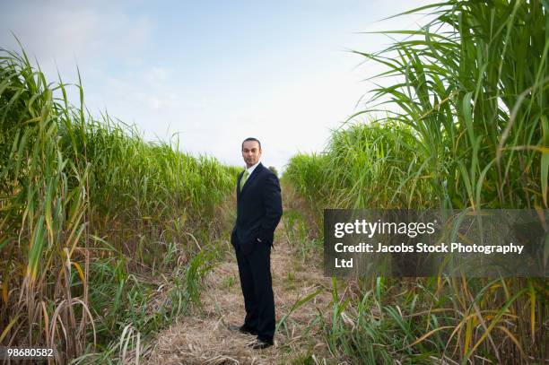asian businessman standing in field - corporate portraits depth of field stockfoto's en -beelden