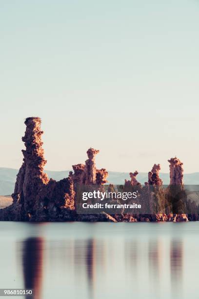 mono lake tufa state reserve - reserva animal estatal imagens e fotografias de stock