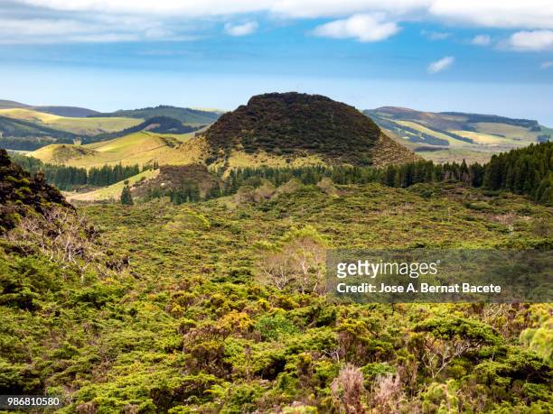landscape of a humid forest of big trees (erica azorica and cryptomeria japonica), and craters volcano in island of terceira, azores islands, portugal. - stratovolcano bildbanksfoton och bilder