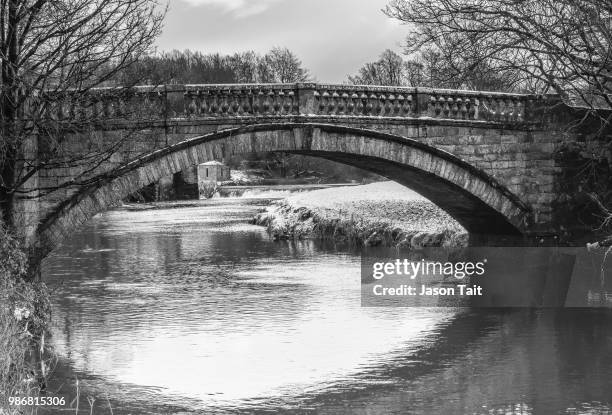 pollock country park - pollock country park stock pictures, royalty-free photos & images