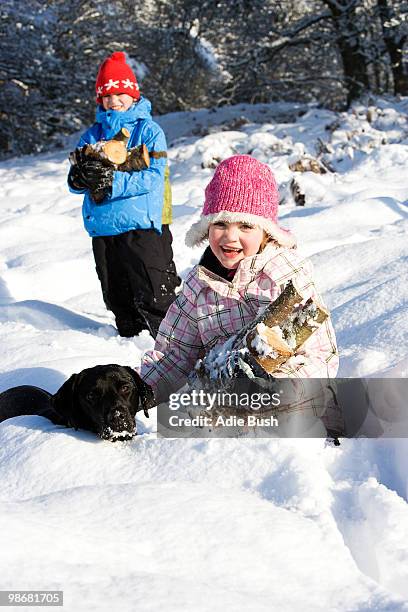 children and dog collecting wood in snow - bush dog fotografías e imágenes de stock