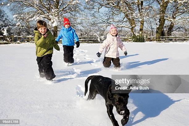 children and dog running in the snow - bush dog stock pictures, royalty-free photos & images