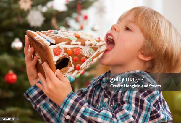 boy eating gingerbread house - exceso fotografías e imágenes de stock