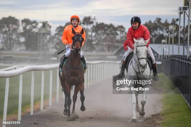 Dwayne Dunn returns to the mounting yard on Lovewithouttragedy after winning the IGA Liquor BM64 Handicap, at Geelong Synthetic Racecourse on June...