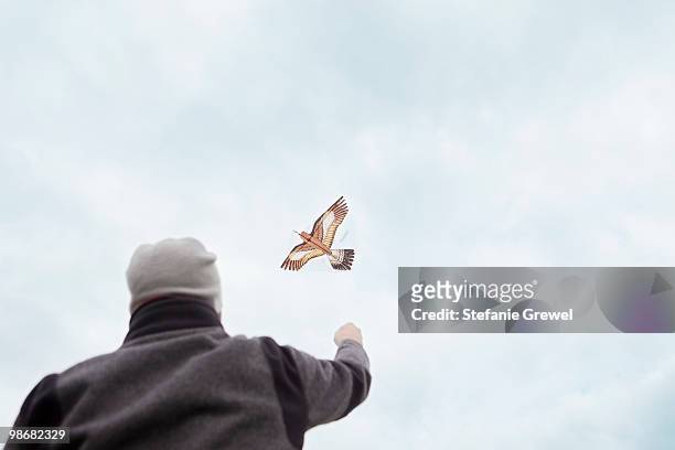 man flies a kite - stefanie grewel 個照片及圖片檔