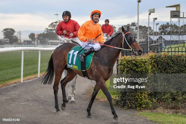 Dwayne Dunn returns to the mounting yard on Lovewithouttragedy after winning the IGA Liquor BM64 Handicap, at Geelong Synthetic Racecourse on June...