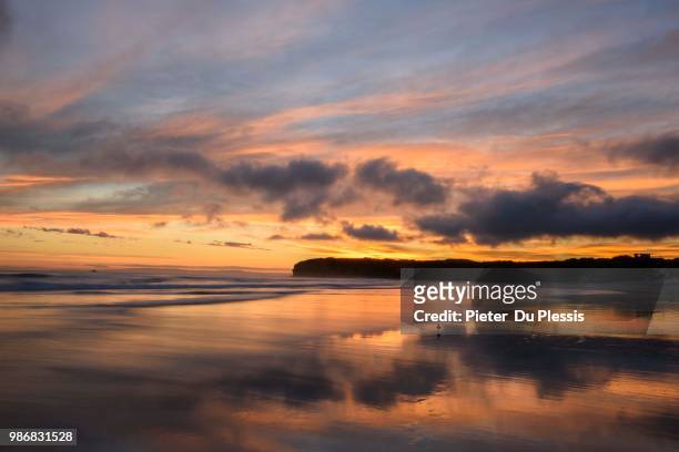 tomahawk beach, dunedin, new zealand - du plessis stock pictures, royalty-free photos & images