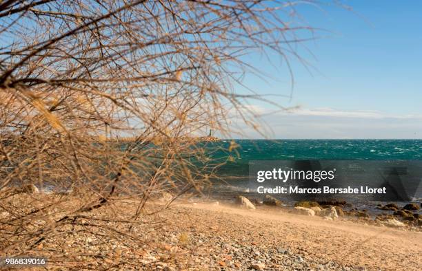 el viento - viento stockfoto's en -beelden