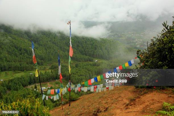 buddhist prayer flags in paro valley - paro district fotografías e imágenes de stock