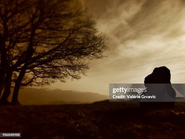 le rocher des druides - rocher stock pictures, royalty-free photos & images